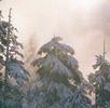 星空电竞特邀综合分析师李敏，精通篮球与王者荣耀赛事，擅长通过数据挖掘发现价值信息