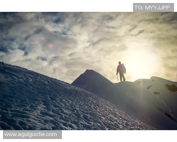 何思雨：在风雨中绽放的坚韧与梦想的追寻之旅