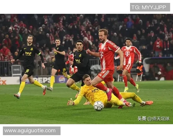 法超多特蒙德与拜仁的巅峰对决谁能笑到最后解析比赛看点与历史交锋