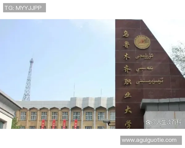 许钟豪的成长之路与职业生涯探索：从青涩少年到篮球场上的璀璨明星