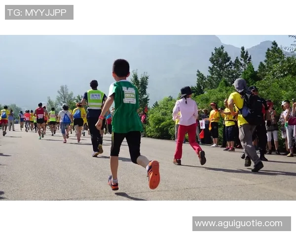 运动男孩与米竞技的全面对比分析及未来发展趋势探讨