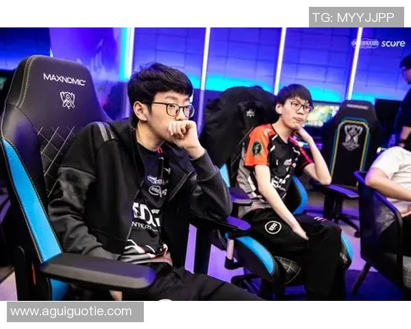 独家解析EDG战队配合风格与战术对比分析